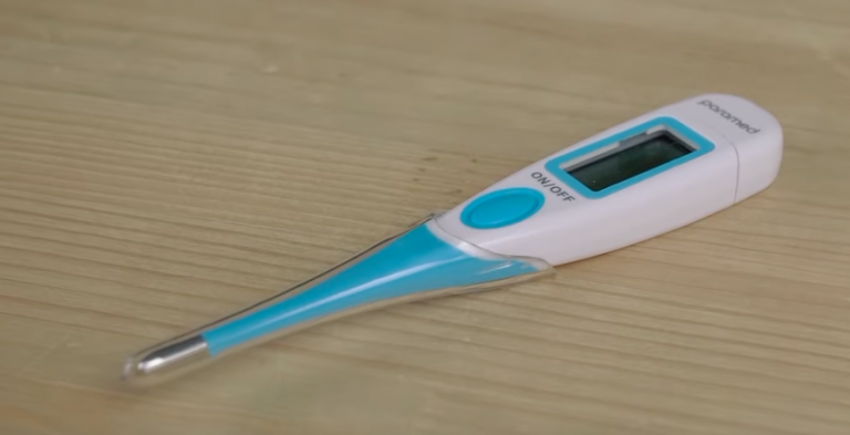 Best Digital Thermometer
